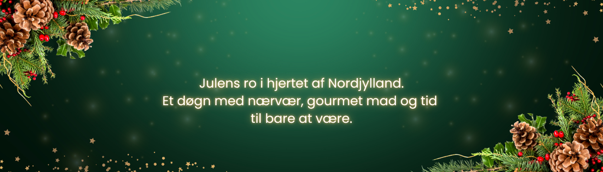 1 & 2 døgn  Juleophold i Nordjylland  Hotel Thinggaard (1).png
